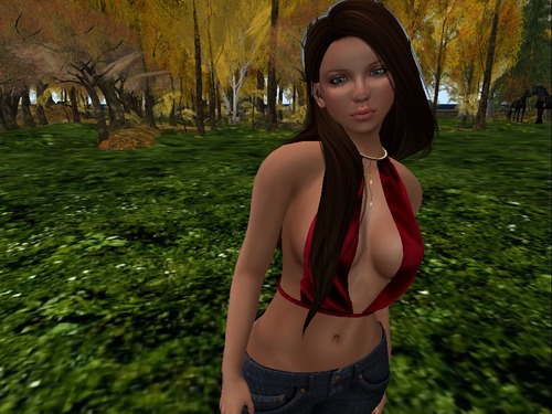 Web 5679f47ef8a1ec1fbc000001