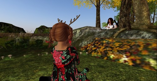 Web 568064893f942f19ca000001