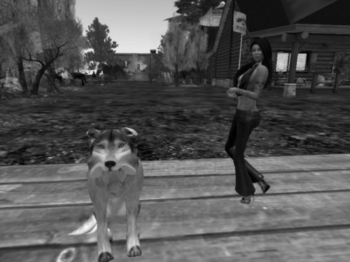 Web 568df204f8a1ec73fb000001