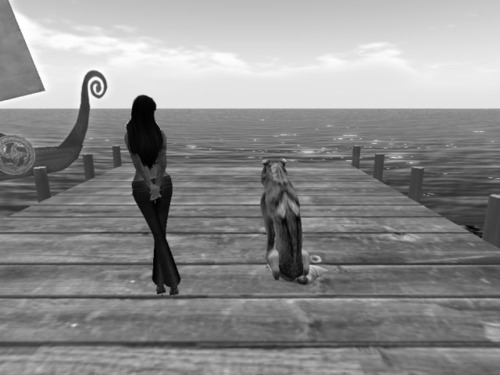 Web 568df3039934e04107000001