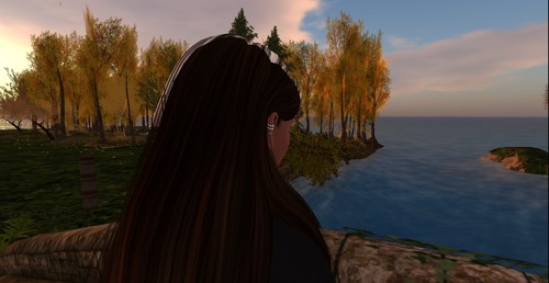 Web 5690c9839934e0365a000001