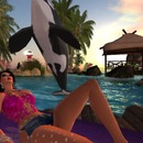 Thumb 53a48aa9a73e21149a000001