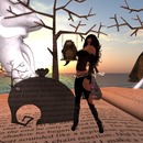 Thumb 54459414128cc96528000001