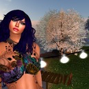 Thumb 55c9e5e3a73e210876000001