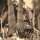 Thumb 55cf609af8a1ec7e42000001