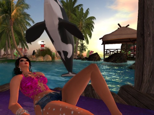 Web 53a48aa9a73e21149a000001