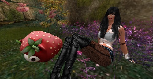 Web 53a743c28da57251cc000001