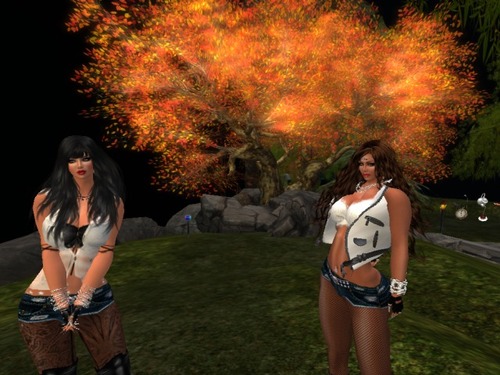 Web 53a75a3df8a1ec2cae000001