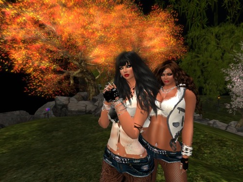 Web 53a75c14a73e210a1e000001