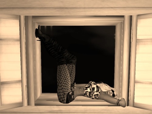 Web 55ca416e8da5727809000001