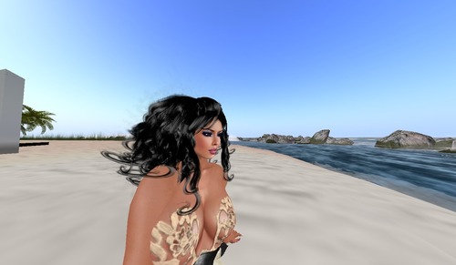 Web 53c195088da57210f0000001