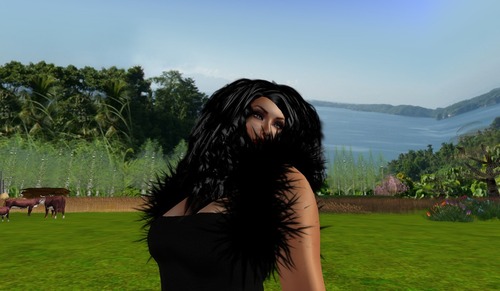 Web 54cdf7ecf8a1ec01bb000001