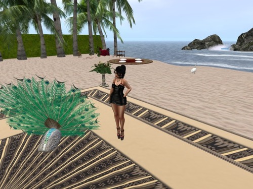 Web 56dcb030e85cda21f8000001