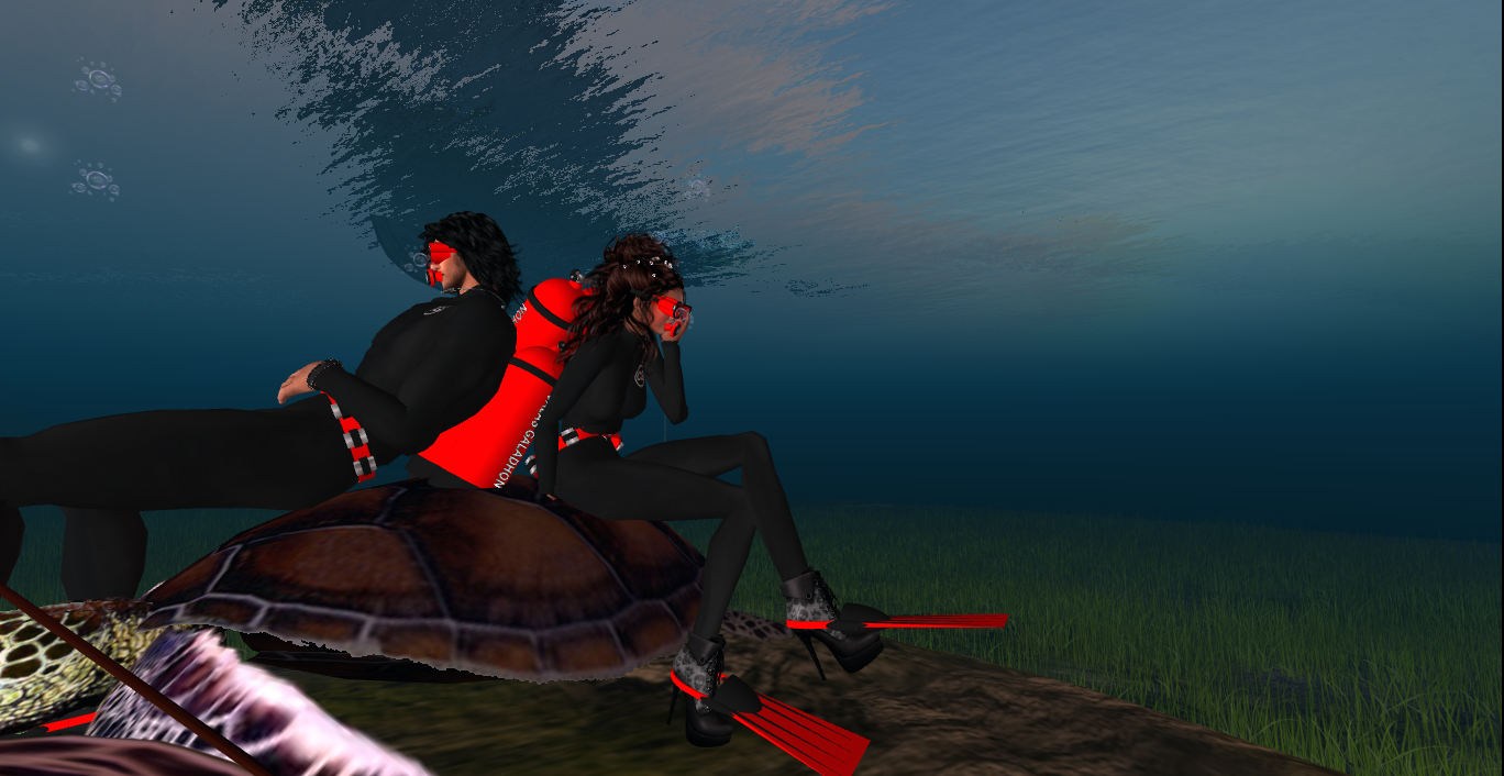 Original 53ea5c12f8a1ec185b000001