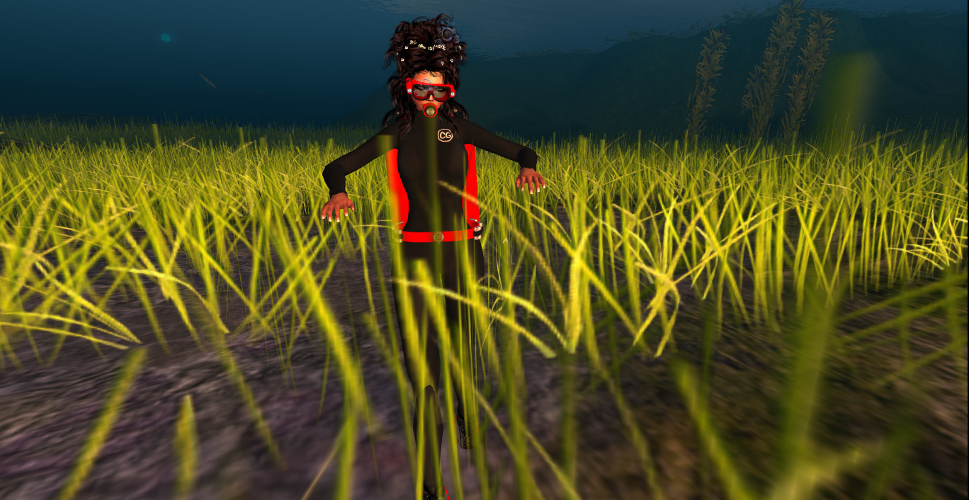 Original 53ea5deea73e212869000001