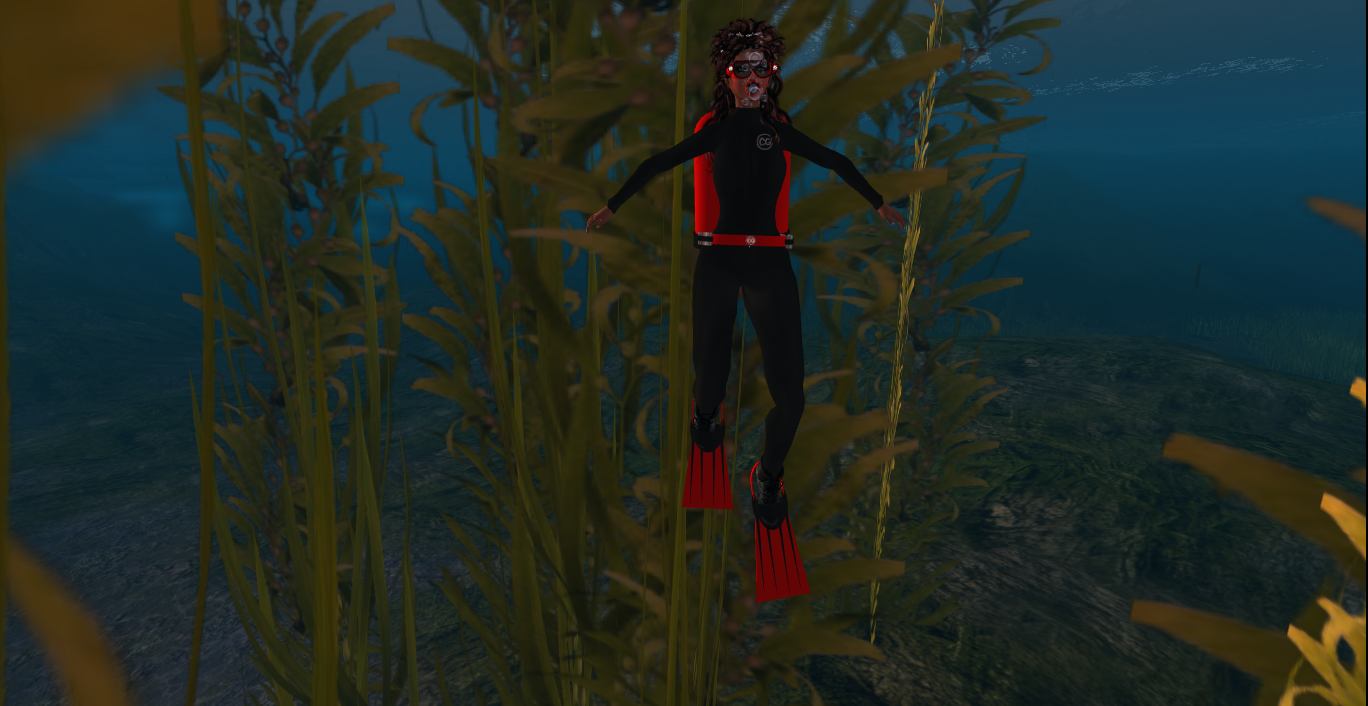 Original 53ea5ea18da5721c43000001