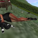 Thumb 536b3d608da5725d28000001