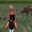 Thumb 536b3e43a73e213100000001