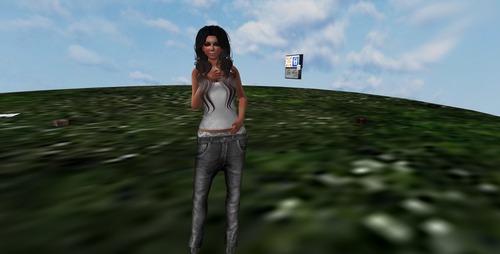 Web 537b5b958da57243c1000001