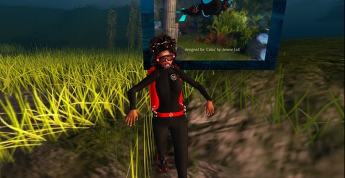 Web 53ea5a97f8a1ec0ef4000001