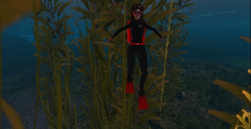 Web 53ea5ea18da5721c43000001