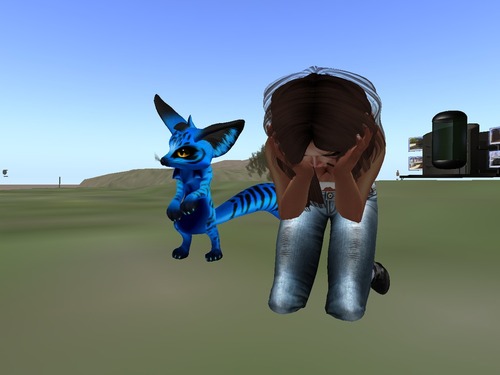 Web 547f4fb0a73e215d22000001