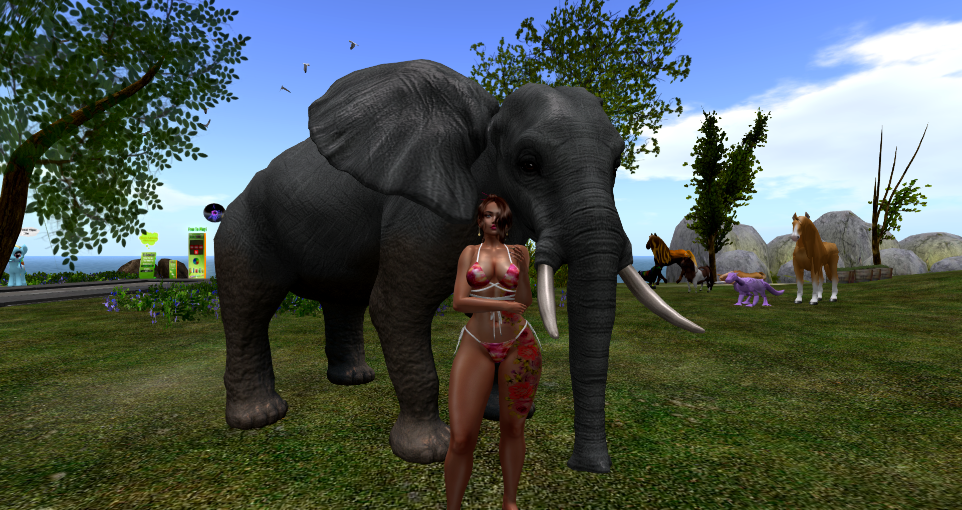 Original 5f003f64289dd27f65600e00