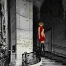 Thumb 555476a68da5724086000001