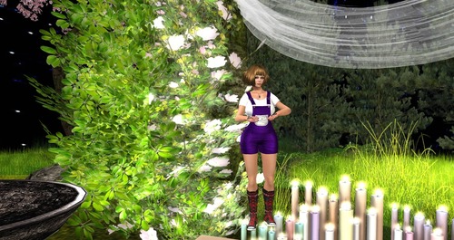 Web 55b3b6698da5723622000001