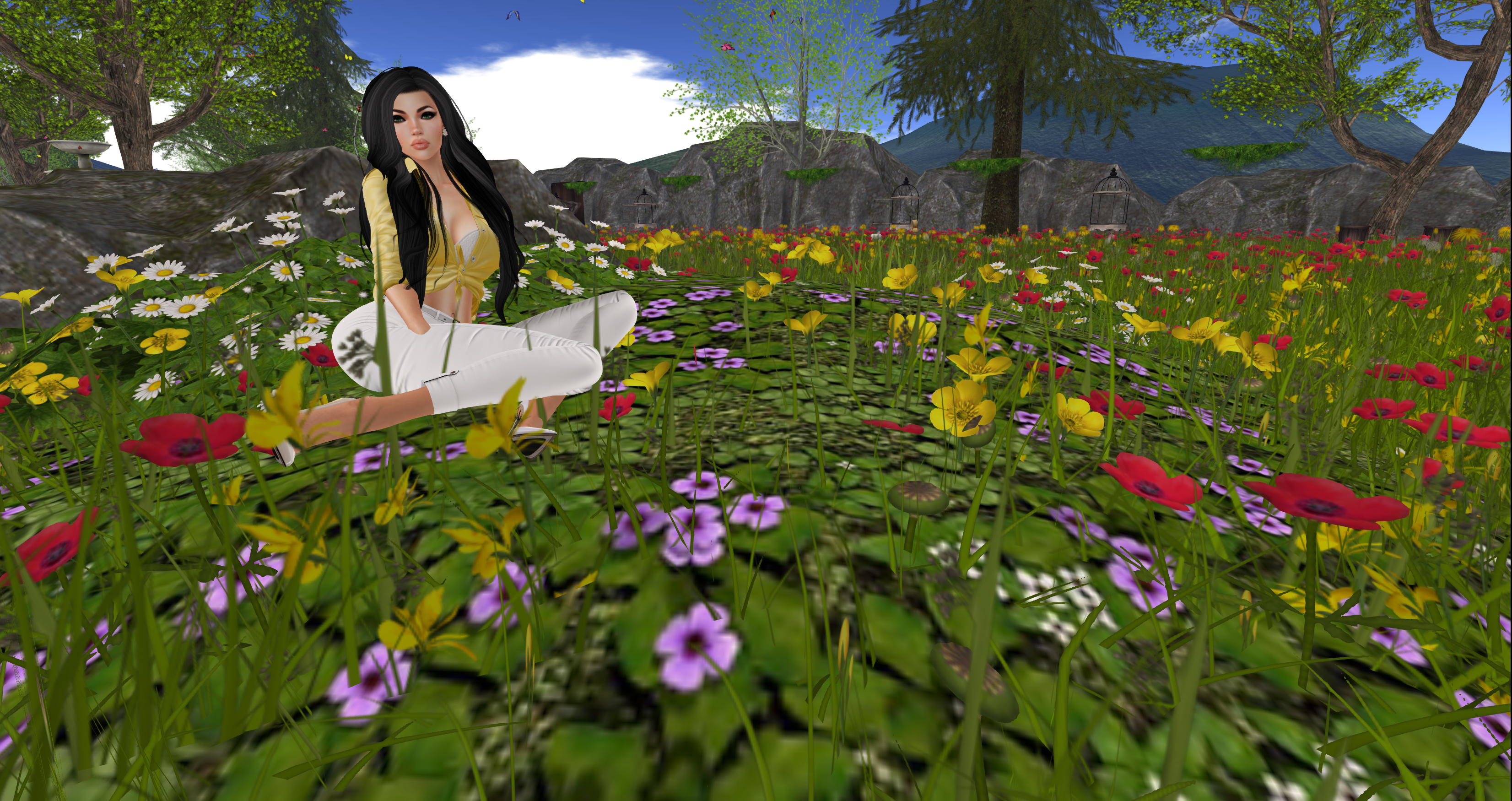 Original 56cbed5976408b33ce000001