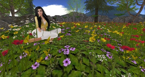 Web 56cbed5976408b33ce000001