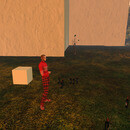 Thumb 675efdd02a4cb66d1c55b462