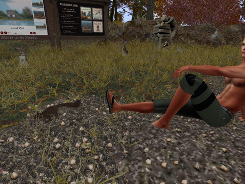 Web 66f69dd98205396c2247e3e8