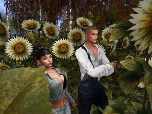 Web 66fda170f785b52f182cf6e6