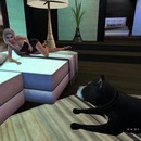 Thumb 54cbd88b128cc94262000001