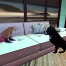 Thumb 54cbdc818da5727082000001