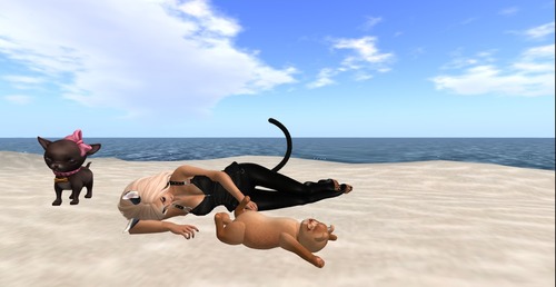 Web 54ddea9bf8a1ec5248000001