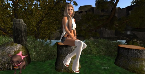 Web 55073a328da5724fd8000001