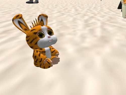 Web 56707915f8a1ec2e18000001