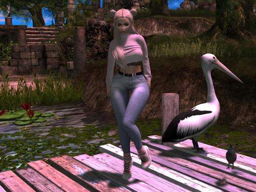 Web 5a871855d774f82204000001