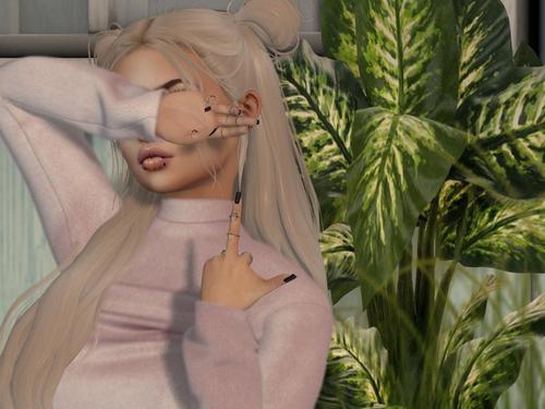 Web 5a889738d774f85349000001