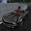 Thumb 537045b8f8a1ec44e8000001