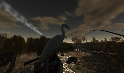 Web 58ed0499289dd26c20000001