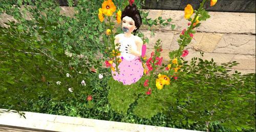 Web 5f24bc6b73ed1713af500937