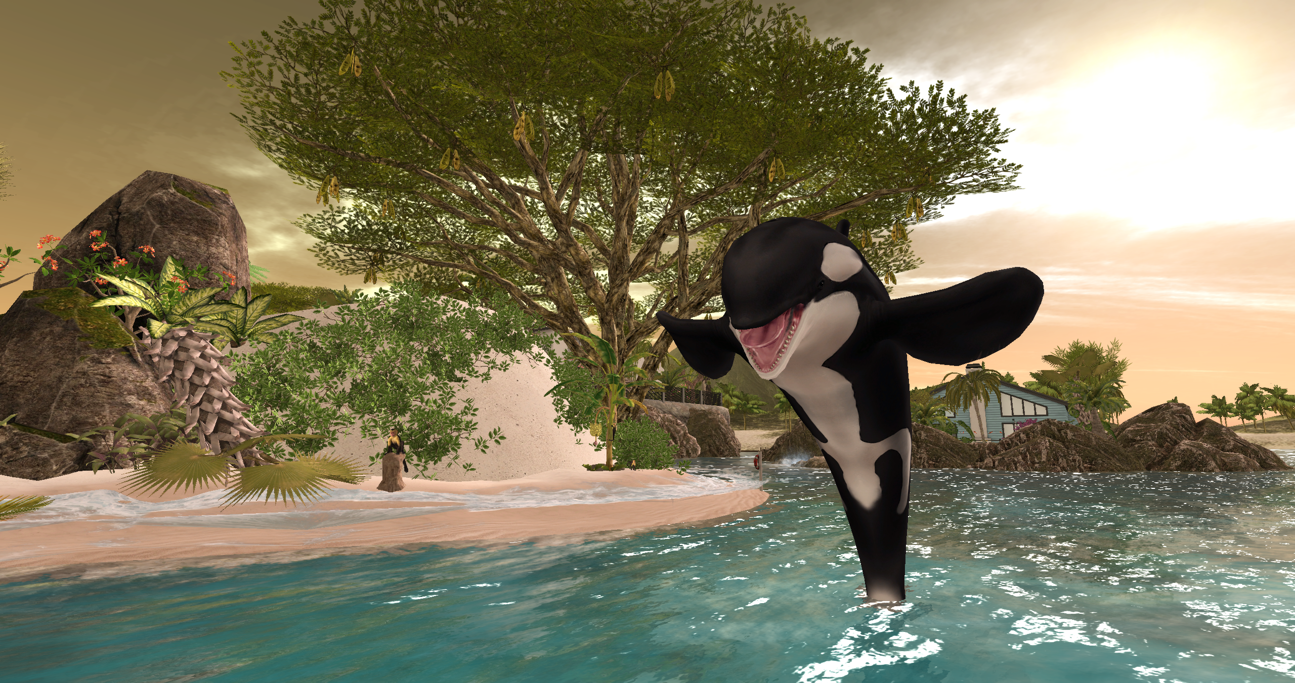 Original 64c0b737cff2634f2c6857bf