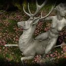 Thumb 6470829189c9814634b462dc