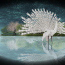 Thumb 64708343ef94cc267bcb81b8