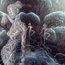 Thumb 649e31e8513f19632a4163af