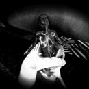 Thumb 650a52fe9e52b138cce2bfa1