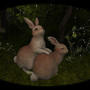 Thumb 666fbc58d676ba7d43a8c0fc